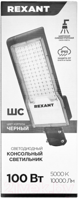 Светильник уличный Rexant ДКУ 01-100-5000К-ШС IP65 / 607-301