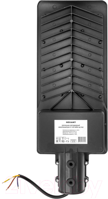 Светильник уличный Rexant ДКУ 01-100-5000К-ШС IP65 / 607-301