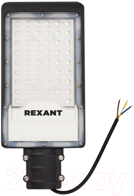 Светильник уличный Rexant ДКУ 01-50-5000К-ШС / 607-300 - фото