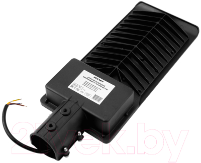 Светильник уличный Rexant ДКУ 02-100-5000К-Ш / 607-303