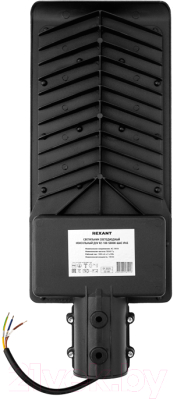Светильник уличный Rexant ДКУ 02-100-5000К-Ш / 607-303