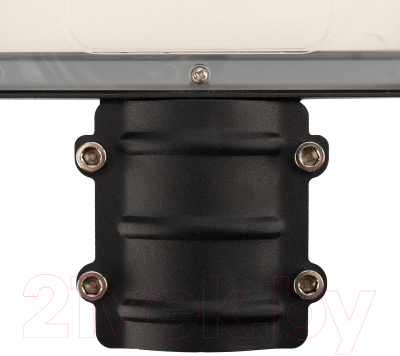 Светильник уличный Rexant ДКУ 02-100-5000К-Ш / 607-303