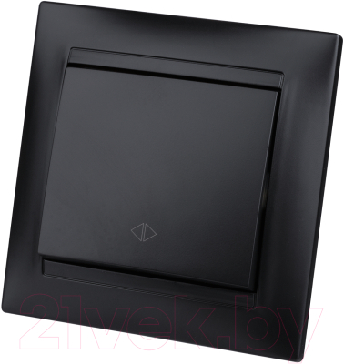 Выключатель TDM Лама SQ1815-0636 - фото