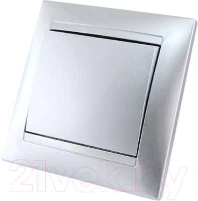 Выключатель TDM Лама SQ1815-0236 - фото