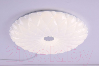 Потолочный светильник Camelion LBS-1005 / 13389