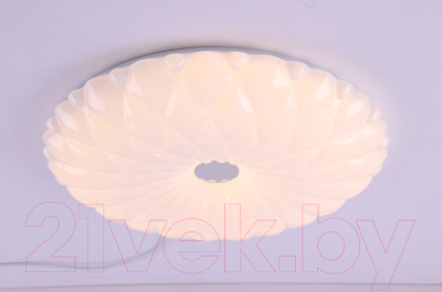 Потолочный светильник Camelion LBS-1005 / 13389