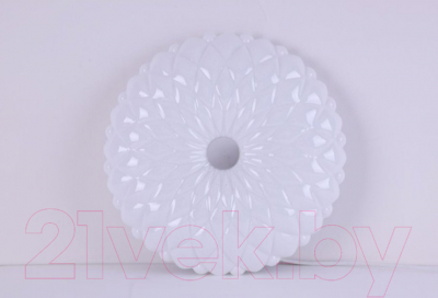 Потолочный светильник Camelion LBS-1005 / 13389