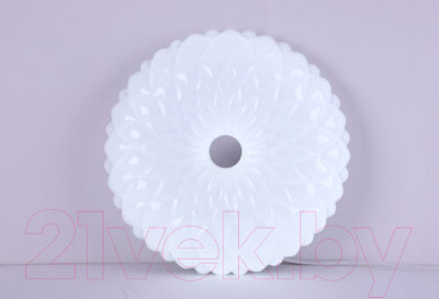 Потолочный светильник Camelion LBS-1005 / 13389