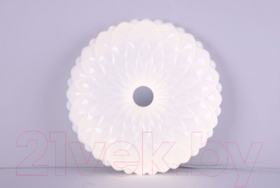 Потолочный светильник Camelion LBS-1005 / 13389