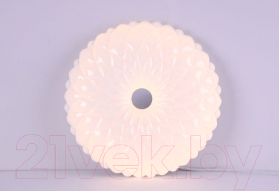 Потолочный светильник Camelion LBS-1005 / 13389