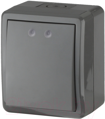 Выключатель ЭРА Эксперт 11-1401-03 / Б0020670 - фото