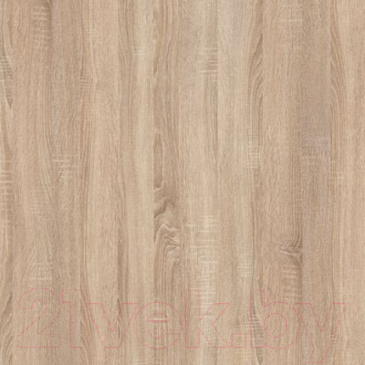 Шкаф-купе Горизонт Мебель Victor 1.6