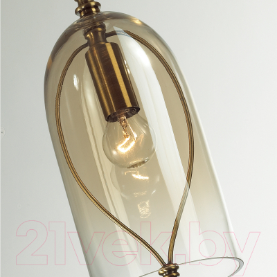 Потолочный светильник Odeon Light Bell 4892/1