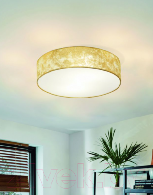 Потолочный светильник Eglo Viserbella 97641