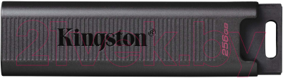 Usb flash накопитель Kingston Data Traveler Max 1TB (DTMAX/1TB) - фото