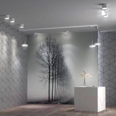 Спот Novotech Prometa 358749