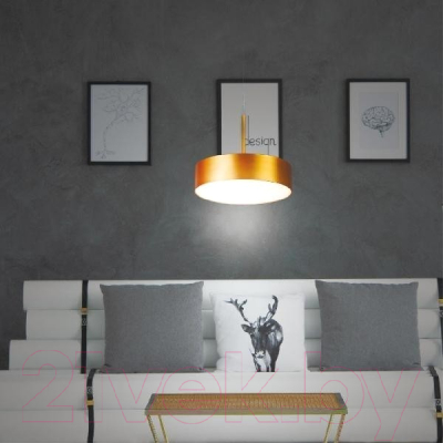 Светильник Novotech Prometa 358763