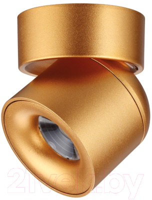 Спот Novotech Gesso 358810 - фото