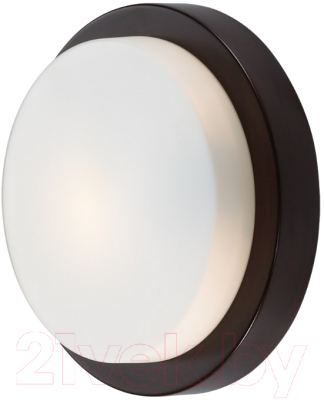 Светильник Odeon Light Holger 2744/1C - фото