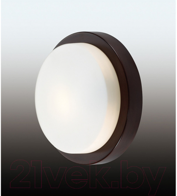 Светильник Odeon Light Holger 2744/1C