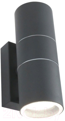 Бра уличное Arte Lamp Sonaglio A3302AL-2GY - фото