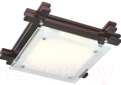 Потолочный светильник Arte Lamp Archimede A6462PL-2CK - фото