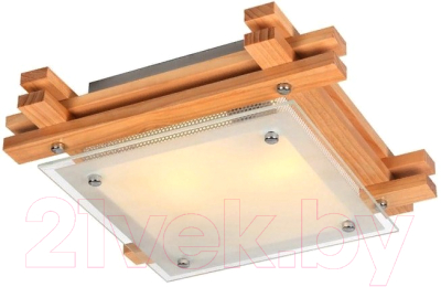 Потолочный светильник Arte Lamp Archimede A6460PL-2BR - фото