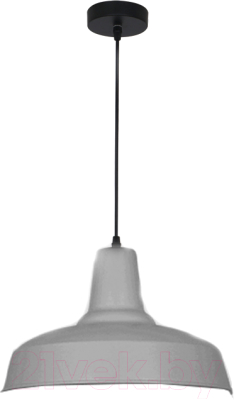 Потолочный светильник Odeon Light Bits 3361/1 - фото