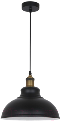 Потолочный светильник Odeon Light Mirt 3366/1 - фото