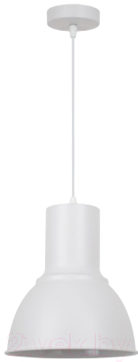 Потолочный светильник Odeon Light Laso 3374/1 - фото