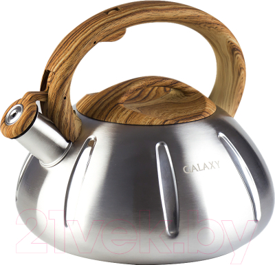 Чайник со свистком Galaxy GL 9206 - фото
