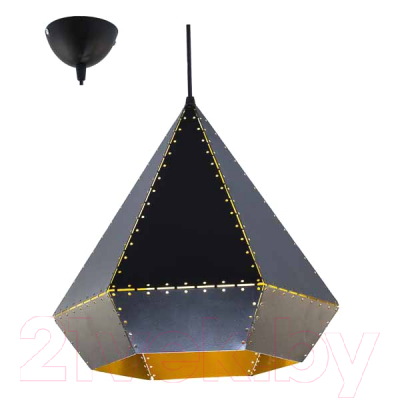 Потолочный светильник Aitin-Pro НCБ 01-60-101 A57 (черный)