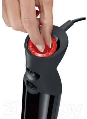 Блендер погружной Bosch MS61B6150