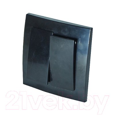 Выключатель Элект VS56-232-Ч - фото