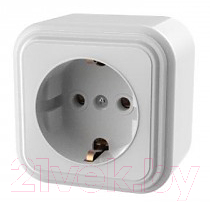 Розетка Элект RA16-133-БЖ - фото