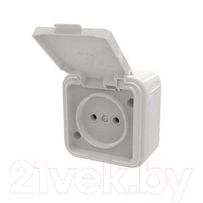 Розетка Элект RA16-201-БЖ - фото