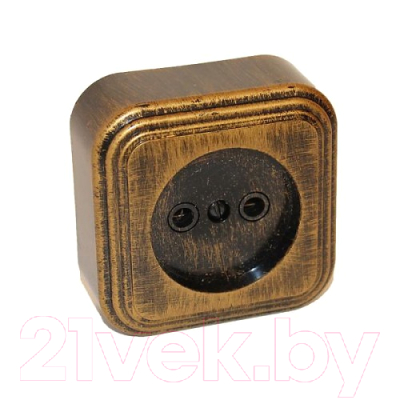 Розетка Элект RA16-131-ЧБ - фото