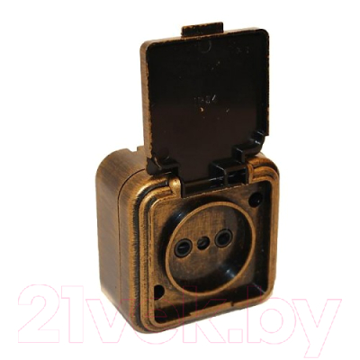 Розетка Элект RA16-201-ЧБ - фото