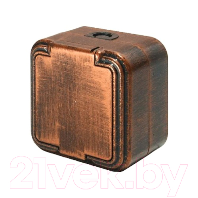 Розетка Элект RA16-211-ЧМ - фото