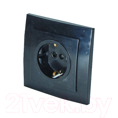 Розетка Элект RS16-133-Ч - фото