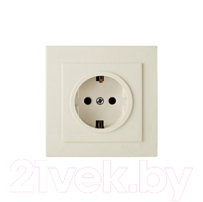 Розетка Элект RS16-133-Б - фото