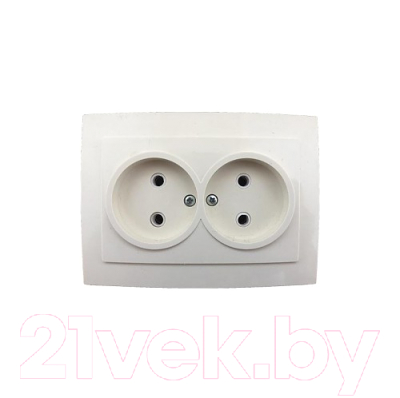 Розетка Элект RS16-237-Б - фото