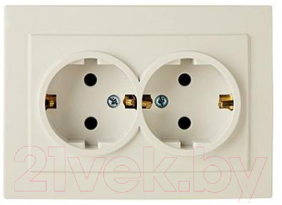 Розетка Элект RS16-238-Б - фото