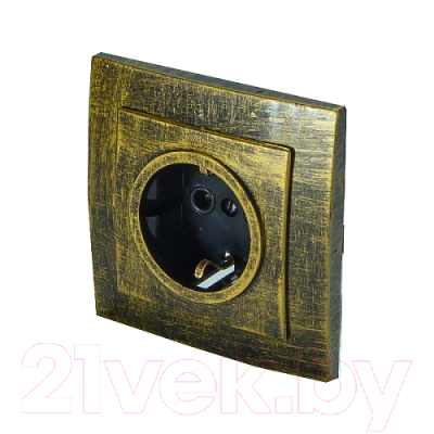 Розетка Элект RS16-133-ЧБ - фото