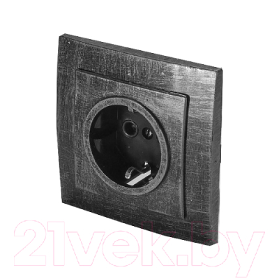 Розетка Элект RS16-133-ЧС - фото