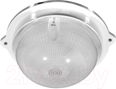 Светильник ЖКХ Свет ДБО 10-5-005 УХЛ1.1 - фото