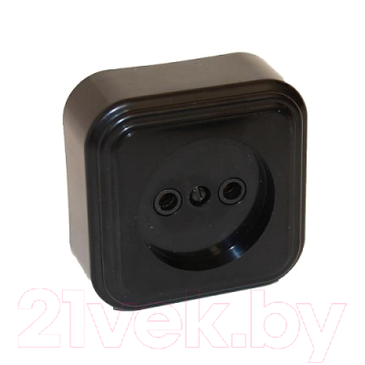 Розетка Элект RA16-131-Ч - фото