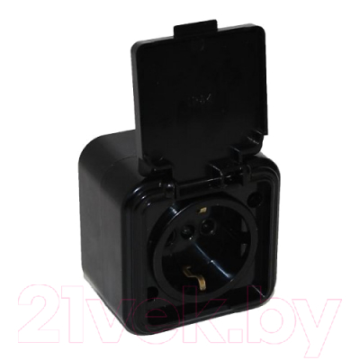 Розетка Элект RA16-211-Ч - фото