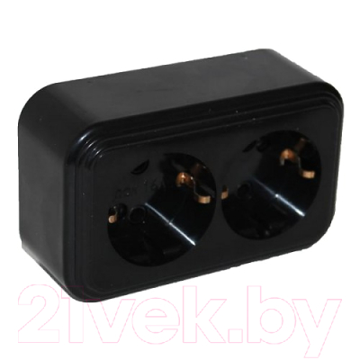 Розетка Элект RA16-238-Ч - фото