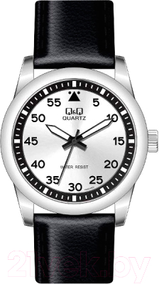 Часы наручные мужские Q&Q GU64J802Y - фото